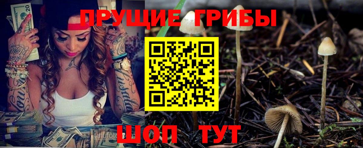 Моршанск  Галлюциногенные грибы Psilocybine cubensis  Вход с VPN 