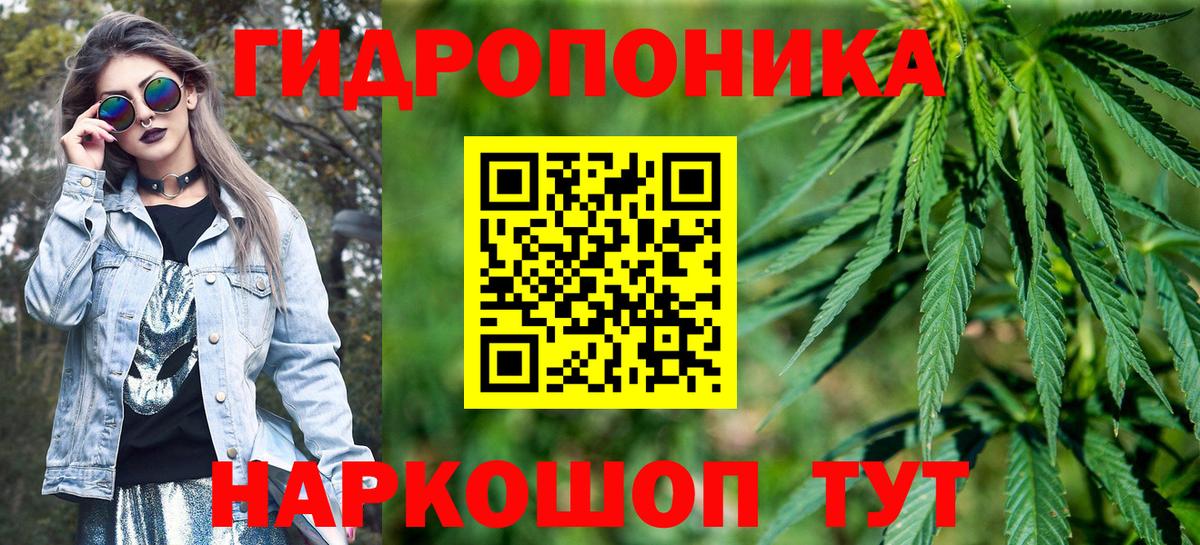 Бошки Шишки VHQ  Вход с VPN  Конопля Ganja  Бошки марихуана конопля  Моршанск  Марихуана марихуана 